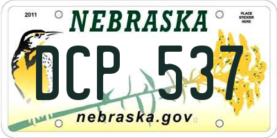 NE license plate DCP537