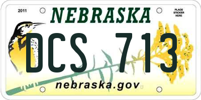 NE license plate DCS713