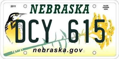 NE license plate DCY615