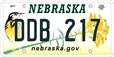NE license plate DDB217