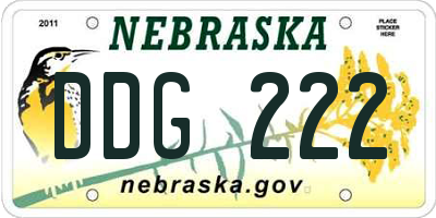 NE license plate DDG222