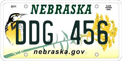 NE license plate DDG456