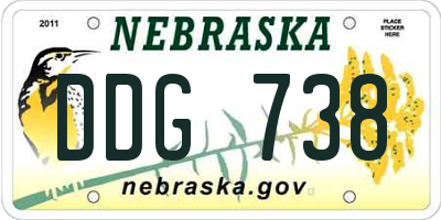 NE license plate DDG738