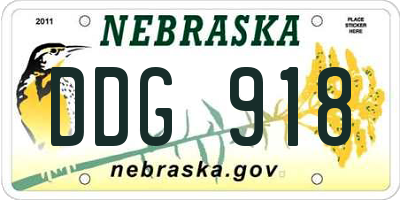 NE license plate DDG918