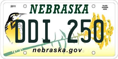 NE license plate DDI250