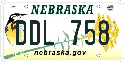 NE license plate DDL758