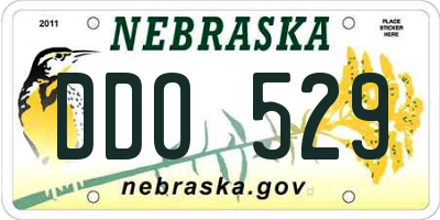 NE license plate DDO529