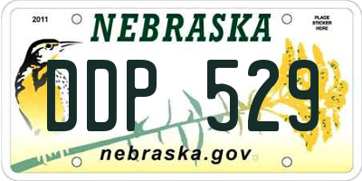 NE license plate DDP529