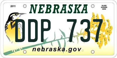 NE license plate DDP737
