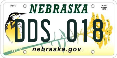 NE license plate DDS018