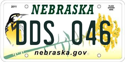NE license plate DDS046
