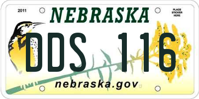 NE license plate DDS116