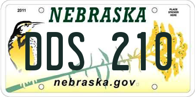 NE license plate DDS210