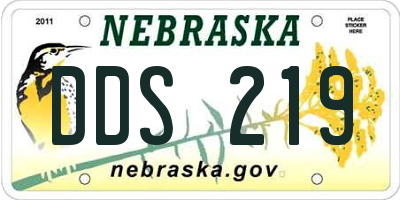 NE license plate DDS219