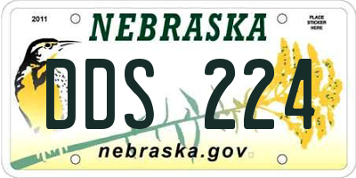NE license plate DDS224