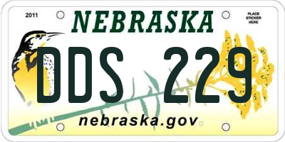 NE license plate DDS229