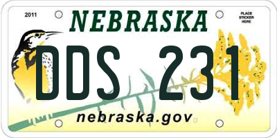 NE license plate DDS231