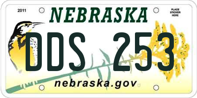 NE license plate DDS253