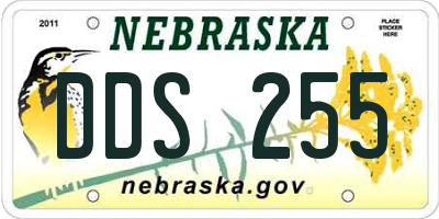 NE license plate DDS255
