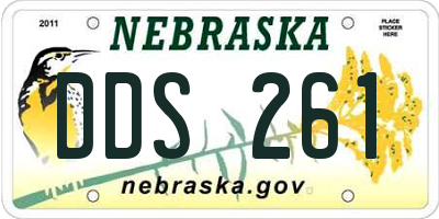 NE license plate DDS261
