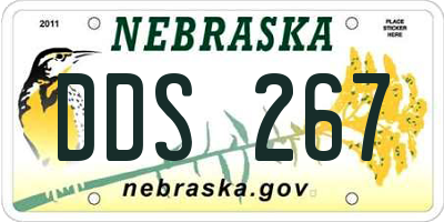 NE license plate DDS267