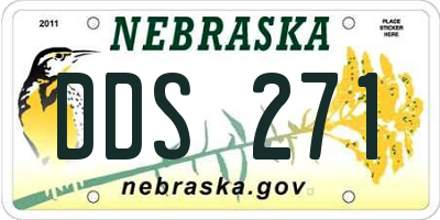 NE license plate DDS271