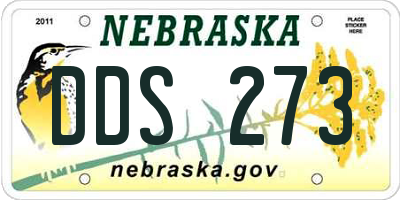 NE license plate DDS273