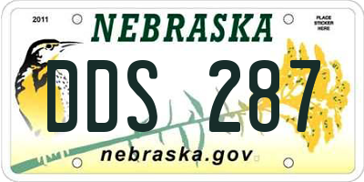 NE license plate DDS287