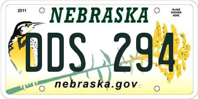 NE license plate DDS294