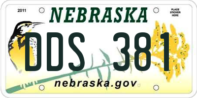 NE license plate DDS381
