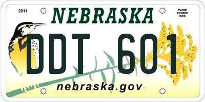 NE license plate DDT601