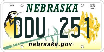NE license plate DDU251