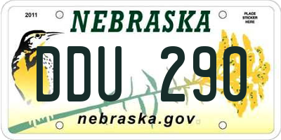 NE license plate DDU290
