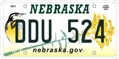 NE license plate DDU524