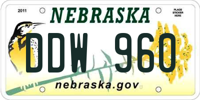 NE license plate DDW960
