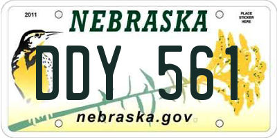 NE license plate DDY561