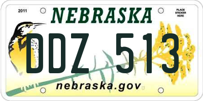 NE license plate DDZ513