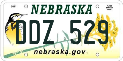 NE license plate DDZ529