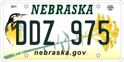 NE license plate DDZ975