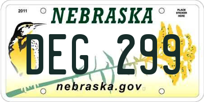 NE license plate DEG299