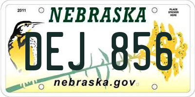 NE license plate DEJ856
