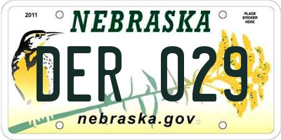 NE license plate DER029