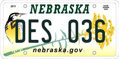 NE license plate DES036