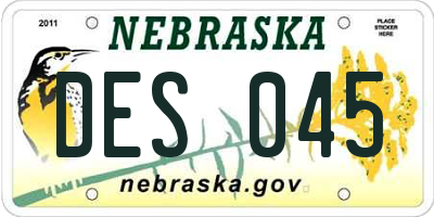 NE license plate DES045