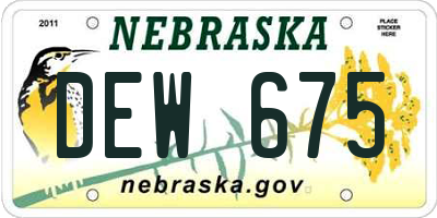 NE license plate DEW675