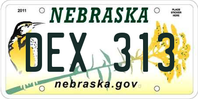 NE license plate DEX313