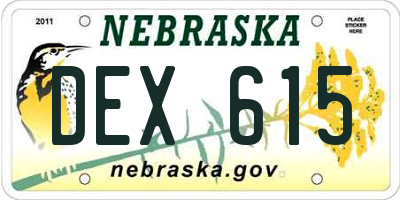 NE license plate DEX615