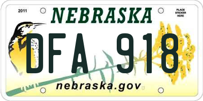 NE license plate DFA918