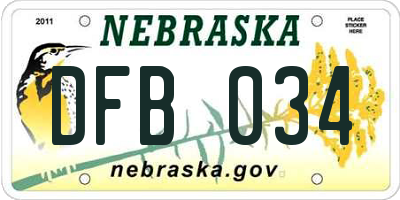 NE license plate DFB034