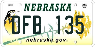 NE license plate DFB135